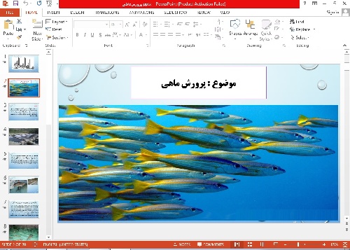 پاورپوینت پرورش ماهی 