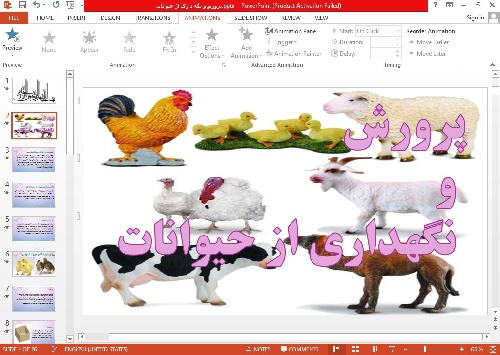 پاورپوینت پرورش و نگهداری حیوانات (مرغ و بلدرچین و ماهی)