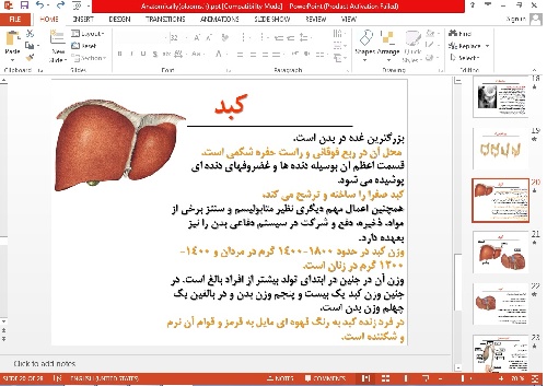 پاورپوینت آناتومی دستگاه گوارش 