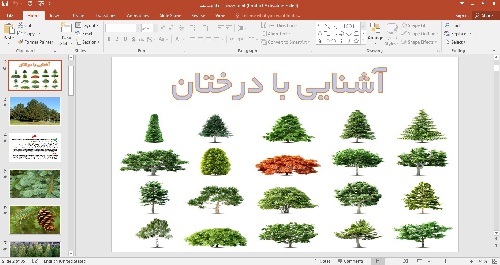 پاورپوینت انواع درخت آشنایی با درختان 