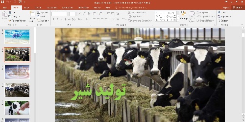 پاورپوینت تولید شیر 