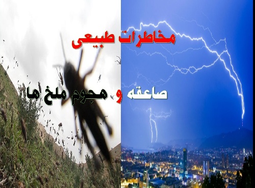 پاورپوینت حمله ملخ ها و صاعقه(مخاطرات طبیعی)