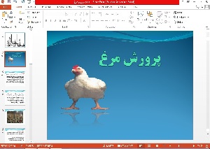 پاورپوینت پرورش مرغ 