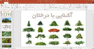 پاورپوینت انواع درخت آشنایی با درختان 